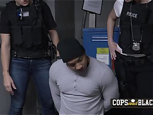 Burglar takes turns to smash cougar cops at their personal spot